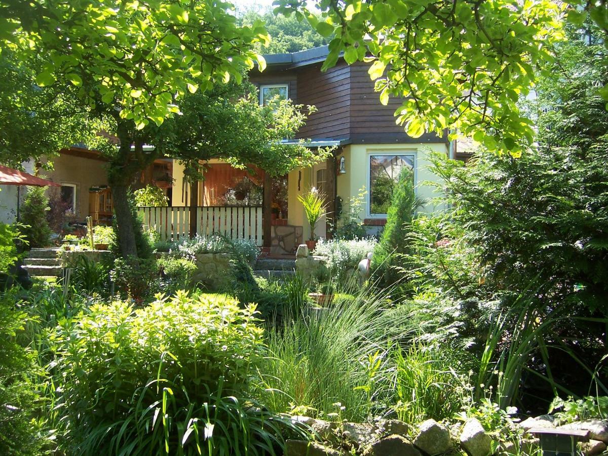 Ferienhaus Hagenwinkel Gernrode  Exteriör bild
